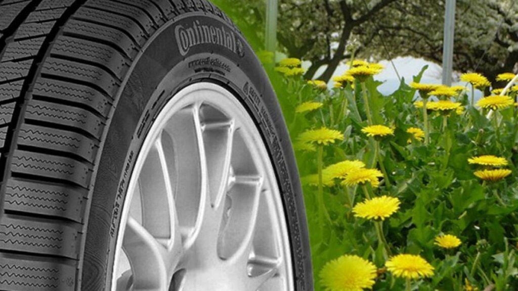 Ruedas de diente de león, interiores de remolacha, coco y arroz… así será el coche eco del futuro cercano