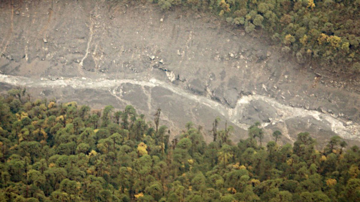 El misterio del Kameng: un río en la India se vuelve negro y provoca la muerte de miles de peces