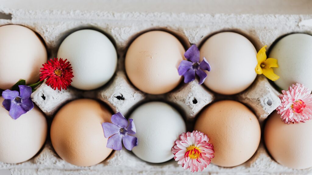 En qué se diferencian los huevos camperos de los ecológicos