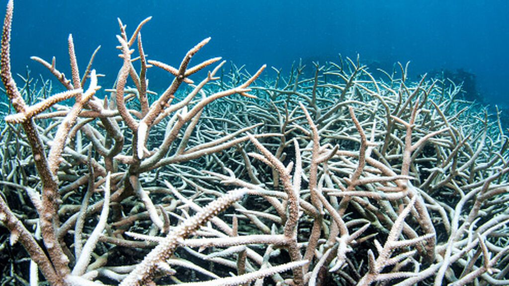 Australia se queda a medias en la lucha contra el cambio climático