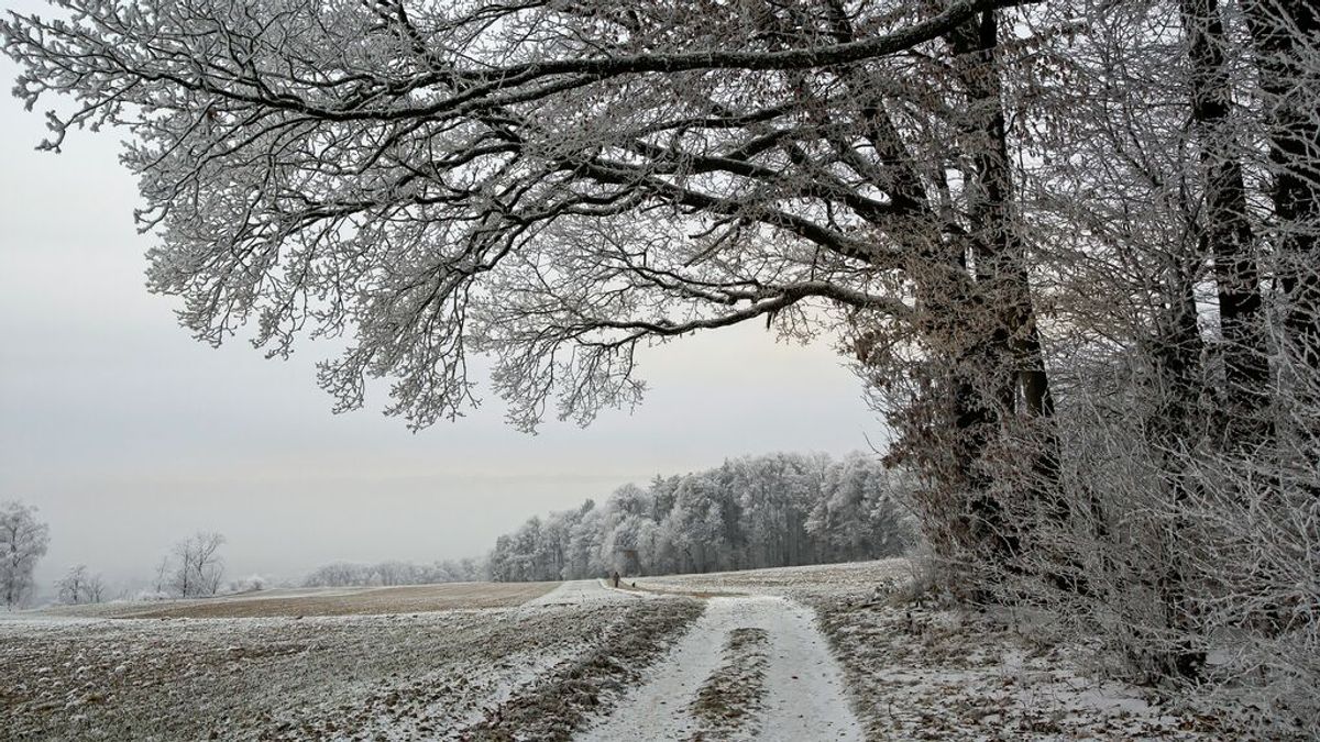 El ambiente plenamente invernal que llegará la próxima semana podría dejar nieve en cotas bajas