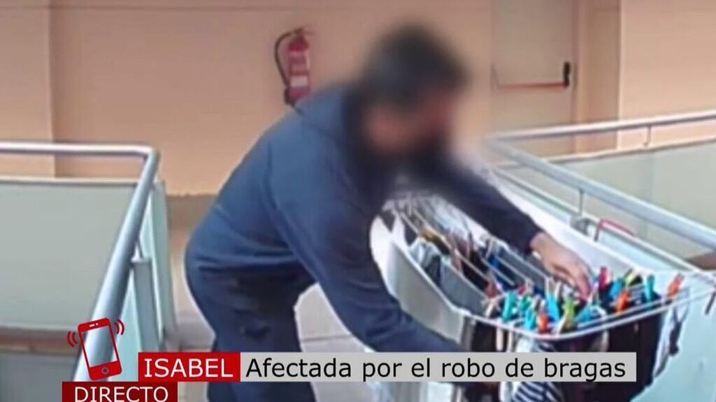 Cuatro al día