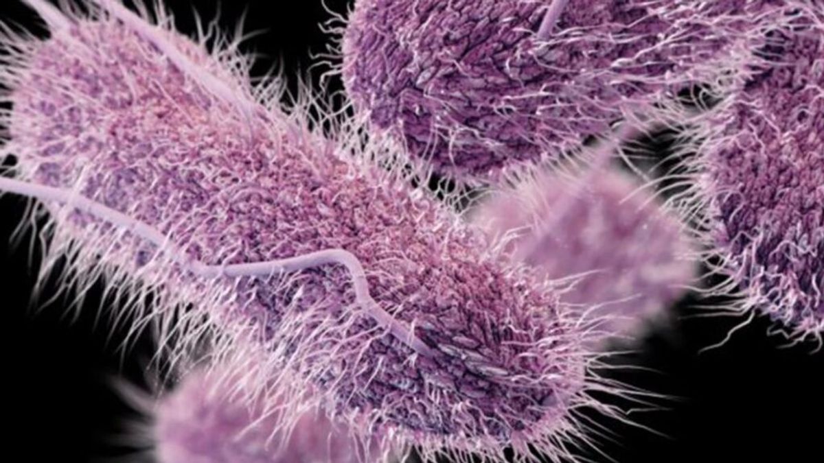 La pandemia de covid saca a relucir la nueva amenaza de las superbacterias que resisten a los antibióticos