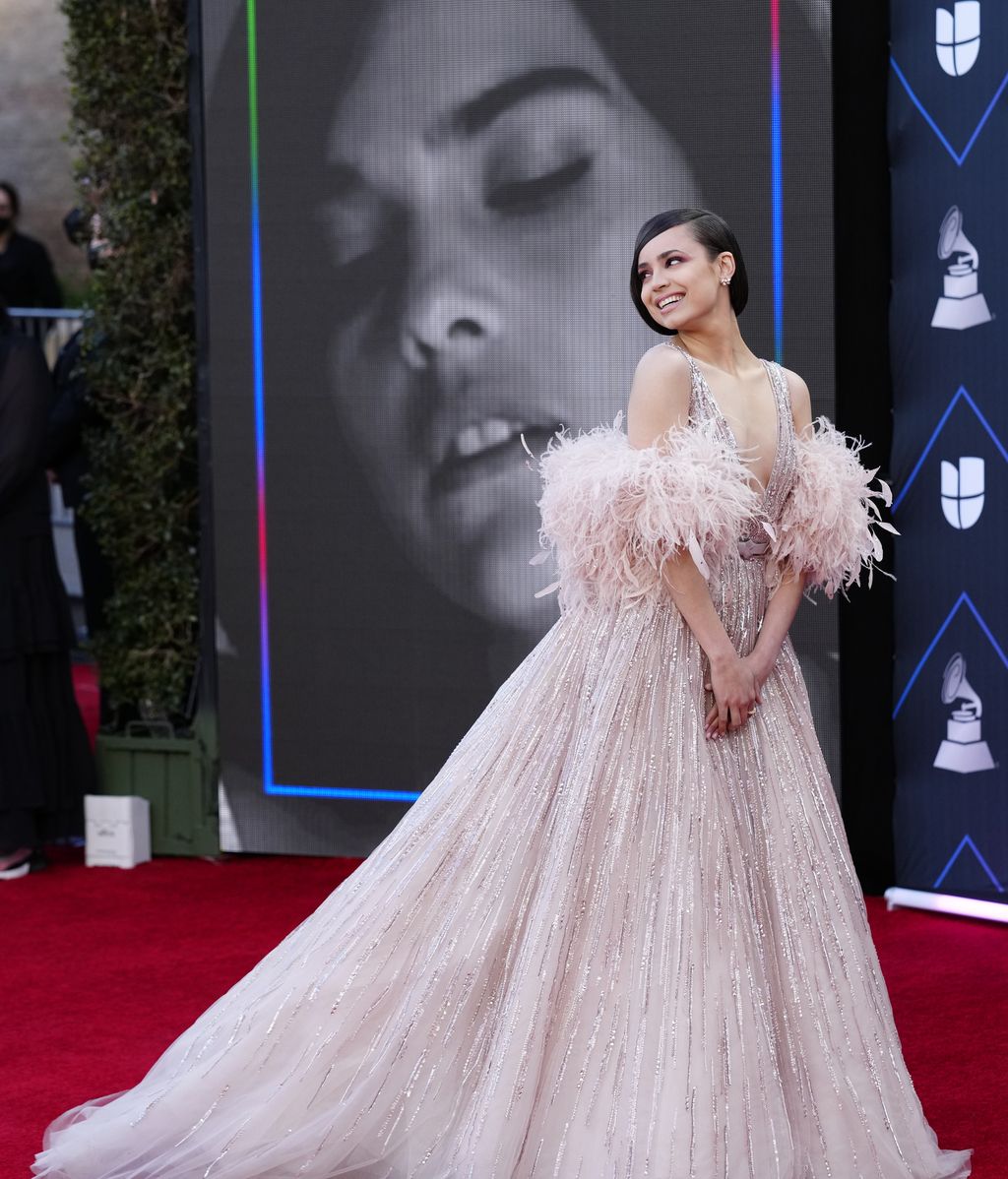 La alfombra roja de los Grammy Latinos, foto a foto