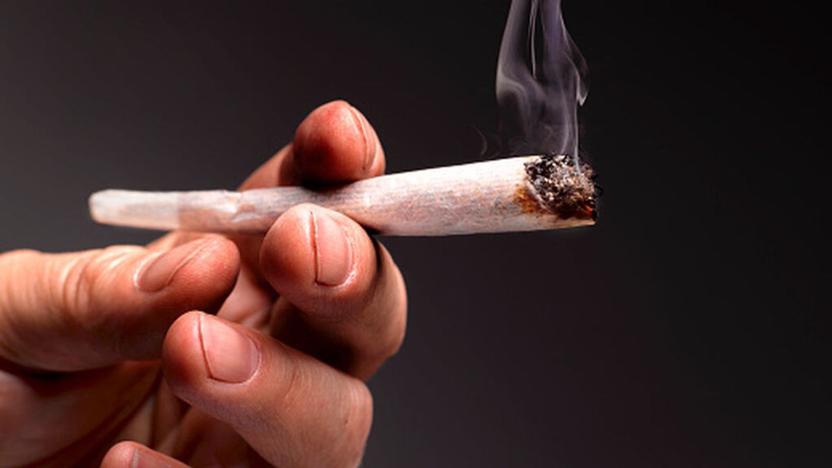 El nuevo gobierno alemán legalizará el consumo de cannabis El nuevo gobierno alemán legalizará el consumo de cannabis