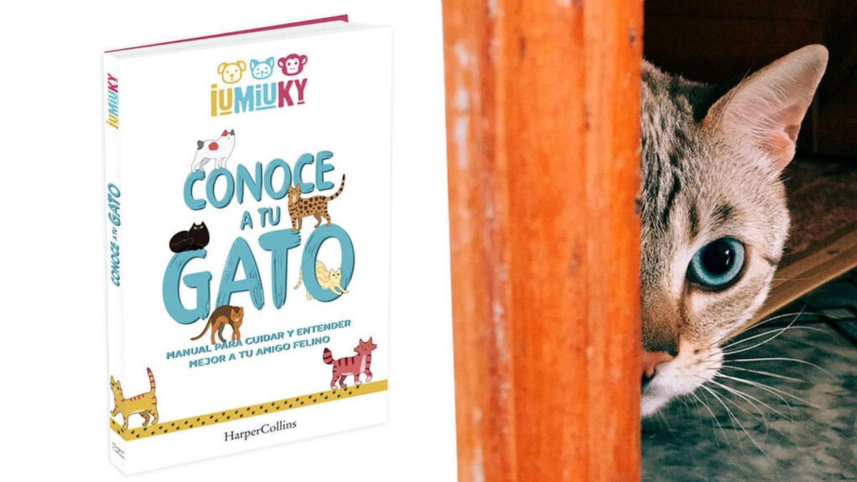 IUMIUKY presenta su primer libro 'Conoce a tu gato', cuida y entiende mejor a tu amigo felino
