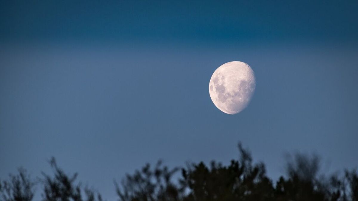 Calendario lunar de diciembre 2021