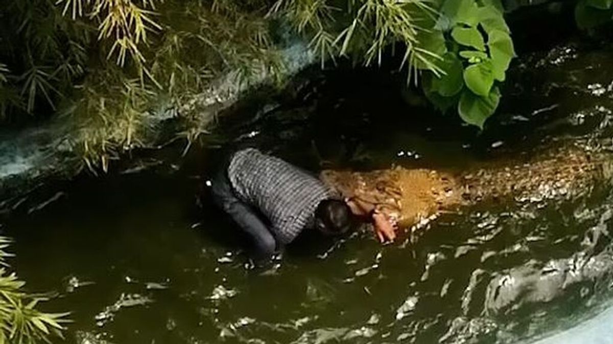 Un cocodrilo muerde una mano a un turista que quería hacerse un selfi en un parque de Filipinas