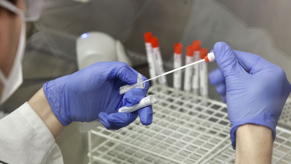 Científicos detallan que la nueva variante es "un gran salto en la evolución" del coronavirus Científicos detallan que la nueva variante es "un gran salto en la evolución" del coronavirus