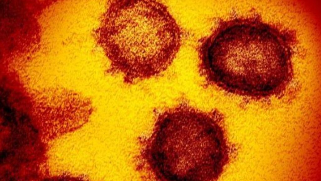 Bélgica confirma el primer caso de la nueva variante del coronavirus B.1.1.529 en Europa