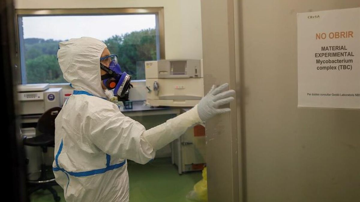 La vacuna española de Hipra, que se inoculará entre marzo y mayo, se puede adaptar a ómicron en cuatro meses La vacuna española de Hipra, que se inoculará entre marzo y mayo, se puede adaptar a ómicron en cuatro meses