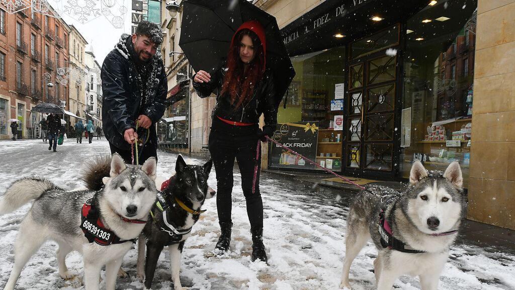 Dos personas pasean con sus perros bajo una intensa nevada este sábado en León