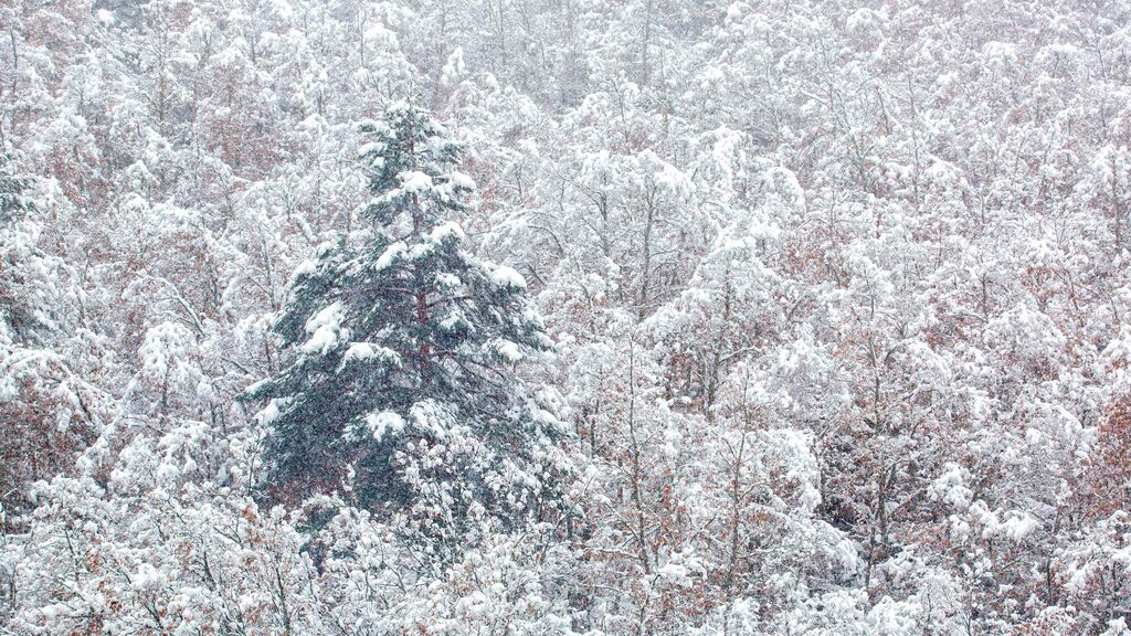 Copiosa nevada caída este sábado en Villanueva