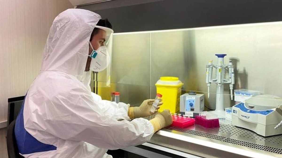 Euskadi roza la emergencia sanitaria con 18 fallecidos y 6.335 contagios en una semana Euskadi roza la emergencia sanitaria con 18 fallecidos y 6.335 contagios en una semana