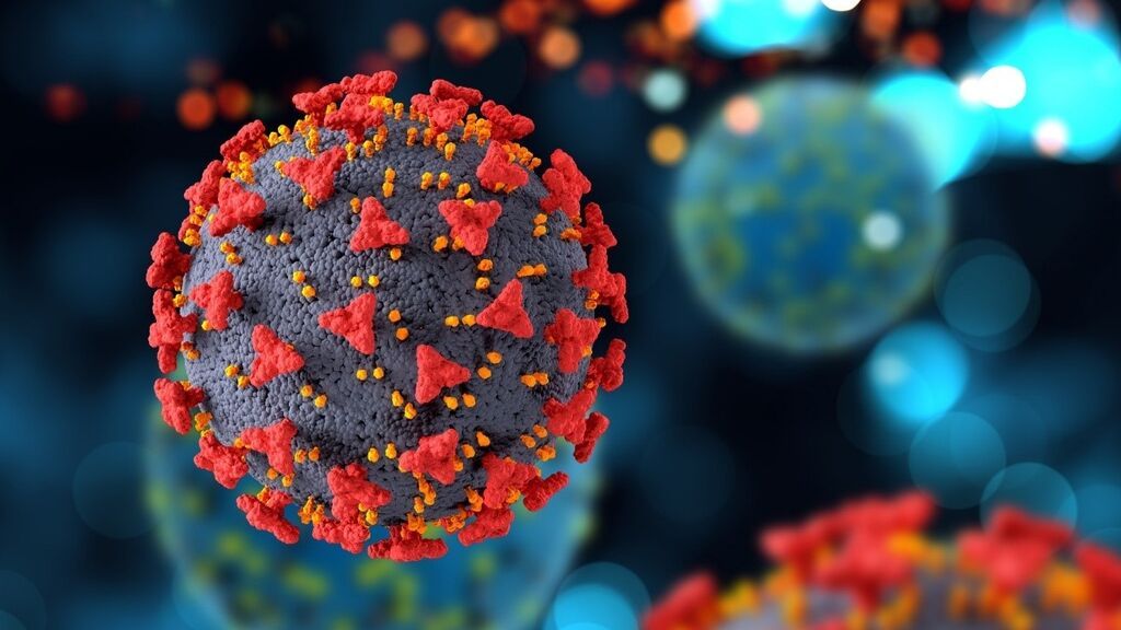 El virus muta, pero el sistema inmune también