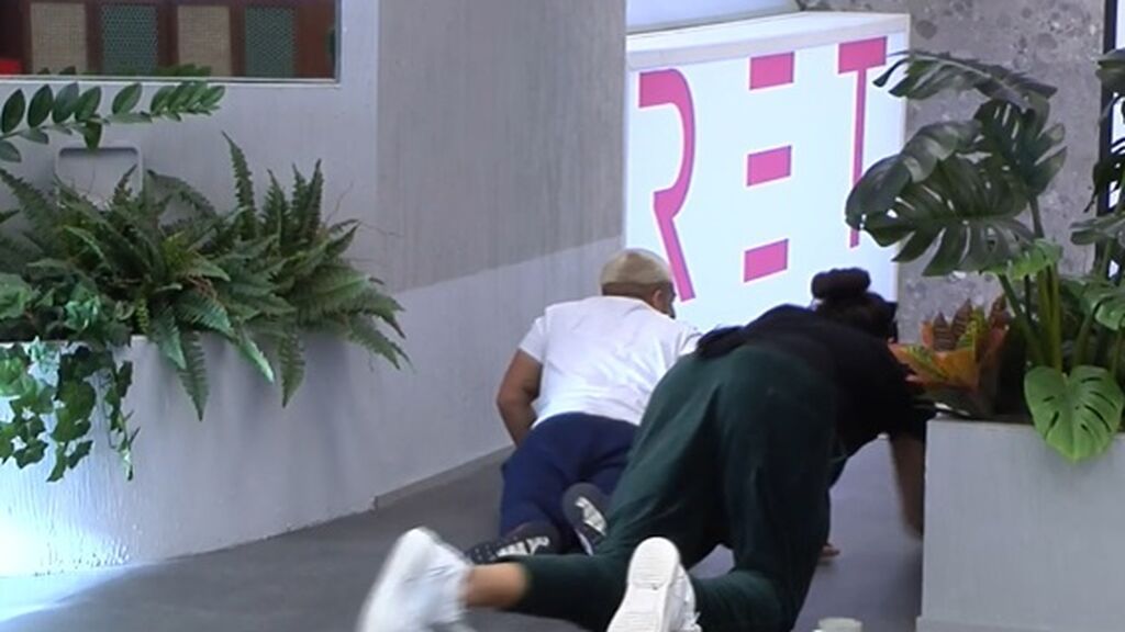 Luca y Miguel espían a Dani y Luis