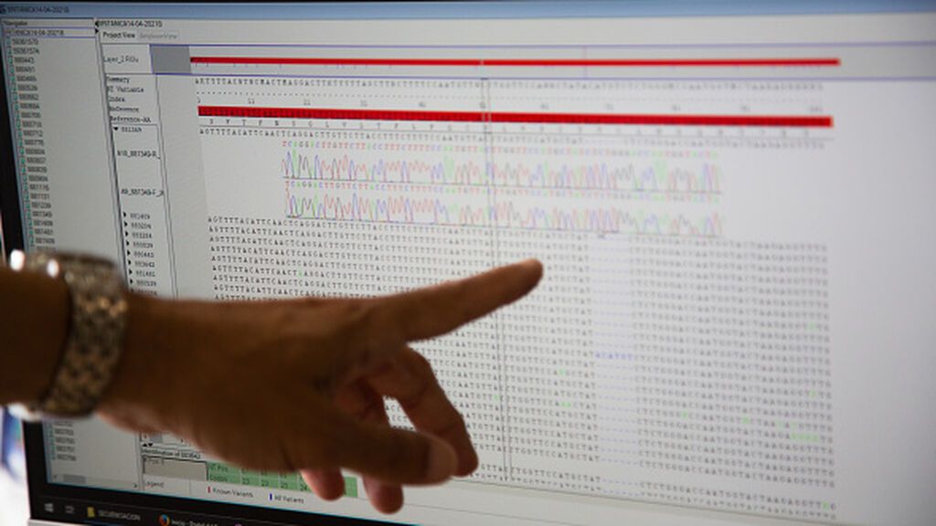 La carrera por determinar el origen de ómicron para saber si es más contagiosa y por qué