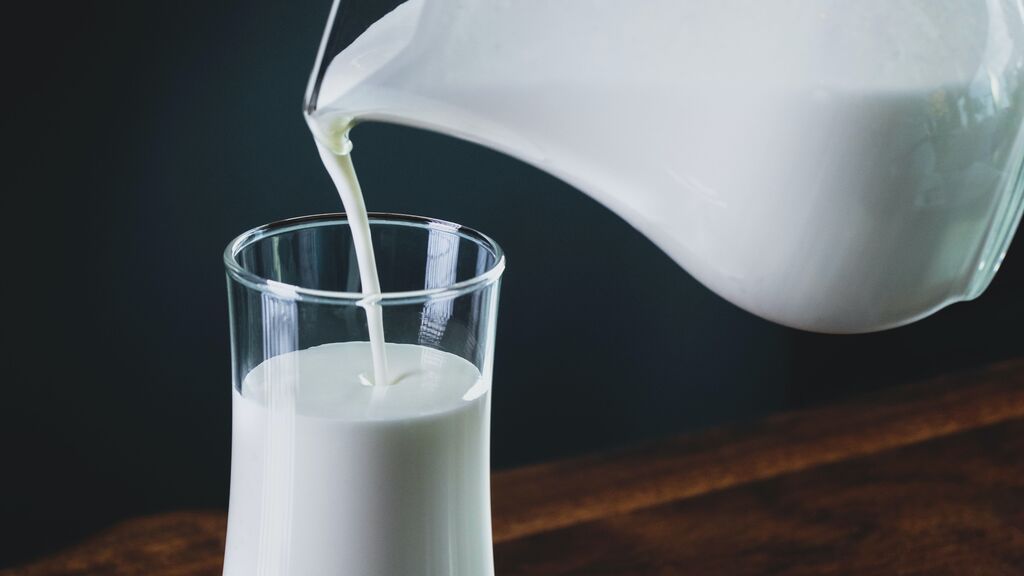 Mito o realidad: ¿es bueno tomar leche para la acidez?