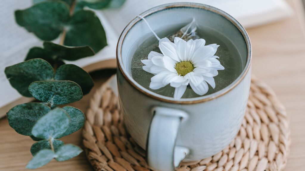 Las infusiones son la bebida ideal para estas fechas.