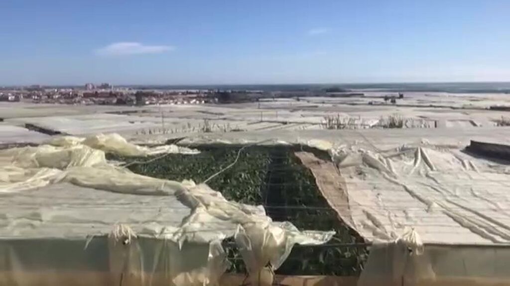Borrasca Barra: cuarenta invernaderos de Motril, en Granada, arrasados por el fuerte viento