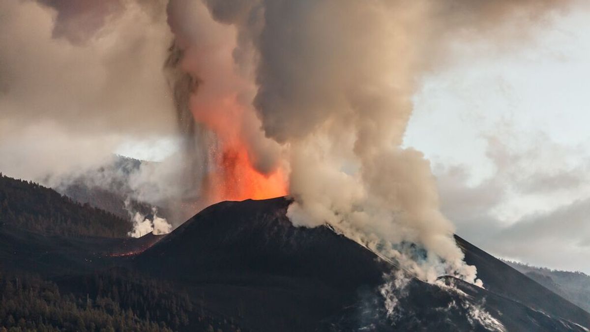 El volcán de La Palma, la Eurocopa y la NBA, entre lo más buscado en Google por los españoles en 2021 El volcán de La Palma, la Eurocopa y la NBA, entre lo más buscado en Google por los españoles en 2021