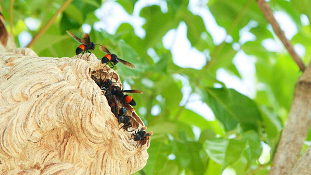 gettyimages-1214399653-170667a