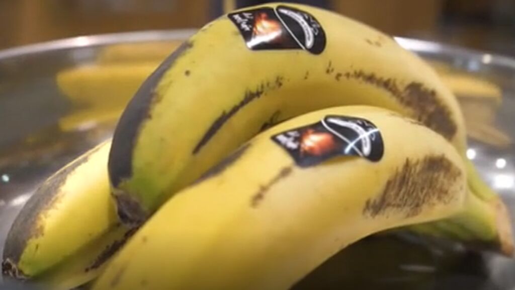Los plátanos de La Palma marcados ya están en las tiendas
