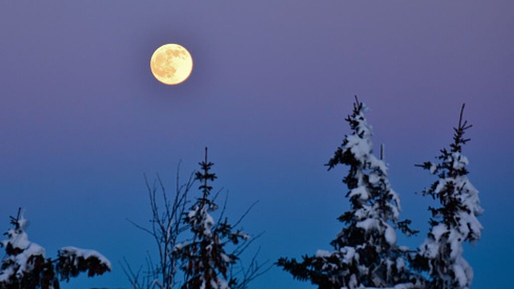 gettyimages-1302407510-170667a