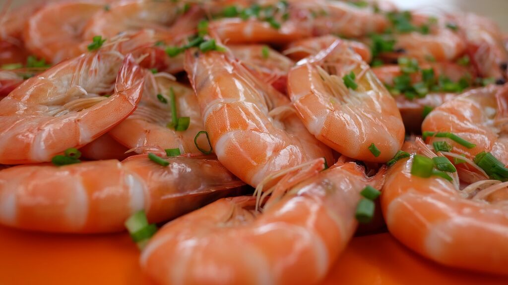prawns-g2eb45ed24_1920