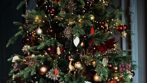 Rojo, verde y dorado: ¿Por qué son los colores de la navidad? - NIUS Rojo, verde y dorado: ¿Por qué son los colores de la navidad? - NIUS