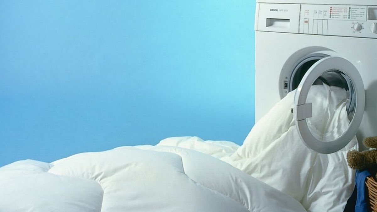Estos son los mejores tips para acabar con las chinches en la cama por completo: de aspirar bien las zonas peligrosas a lavar la ropa con agua muy caliente.