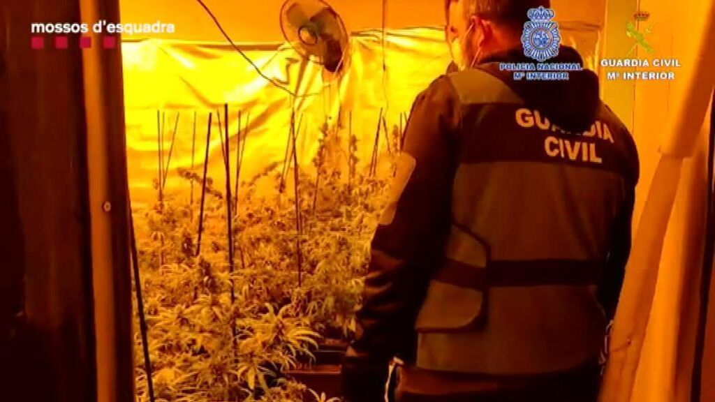 Cae un grupo que traficaba con hachís desde Barcelona