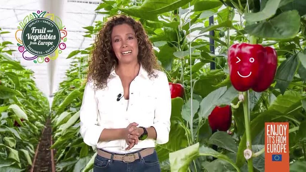 Los invernaderos de Europa ofrecen la máxima calidad de sus frutas y hortalizas todo el año