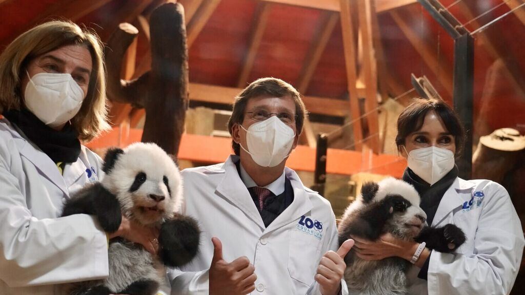 image00002-14-1500x1000