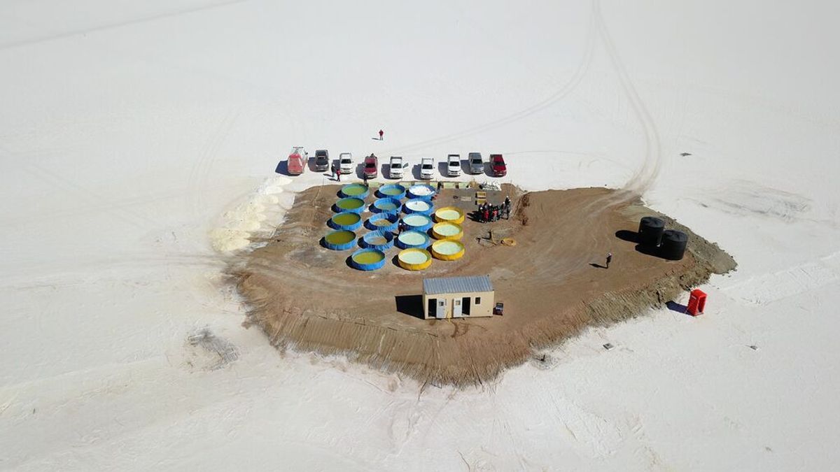 ¿De fabricantes a mineros? El precio del litio puede obligar a las marcas a participar en su extracción ¿De fabricantes a mineros? El precio del litio puede obligar a las marcas a participar en su extracción