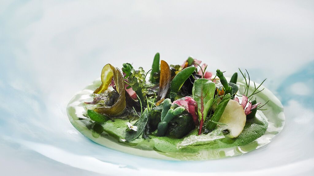 Mar i muntanya vegetal