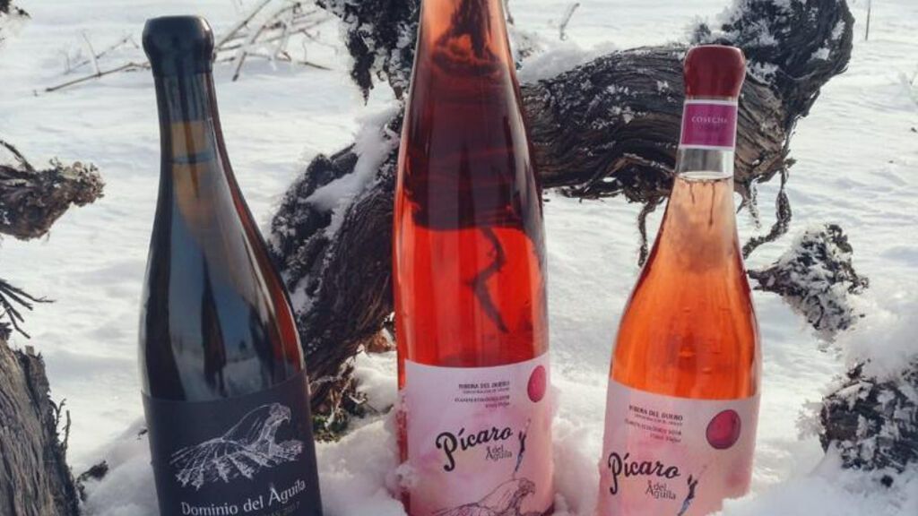 Vino Pícaro