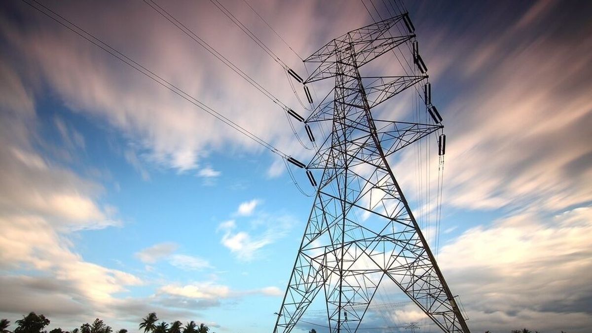 El precio de la luz del domingo bate un nuevo récord histórico, hasta los 319,33 euros/MWh El precio de la luz del domingo bate un nuevo récord histórico, hasta los 319,33 euros/MWh