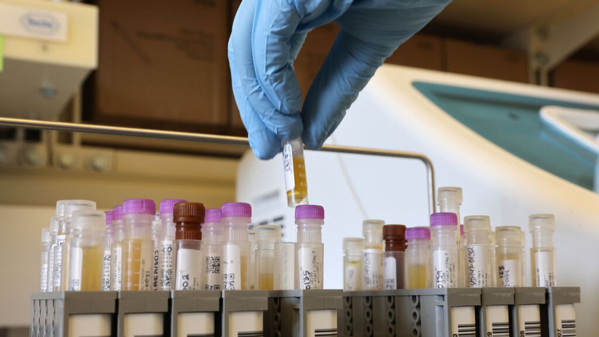 La EMA aprueba la vacuna de Novavax, la primera de proteínas contra la covid La EMA aprueba la vacuna de Novavax, la primera de proteínas contra la covid