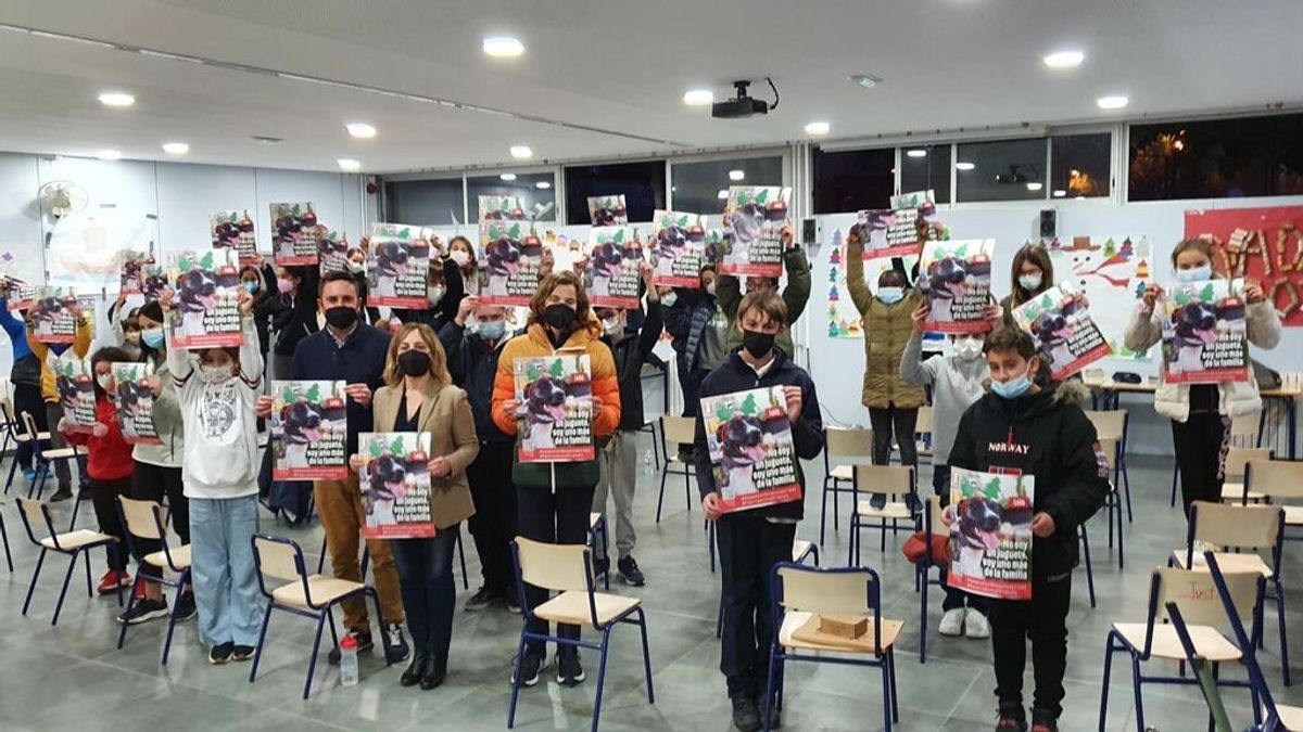 Paterna lanza la campaña "No soy un juguete" para evitar el abandono animal Paterna lanza la campaña "No soy un juguete" para evitar el abandono animal