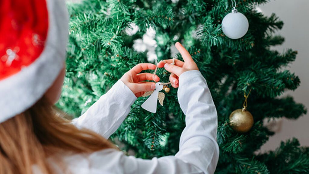 El árbol de Navidad más ecológico: estos se entregan en la puerta de casa y luego se reciclan