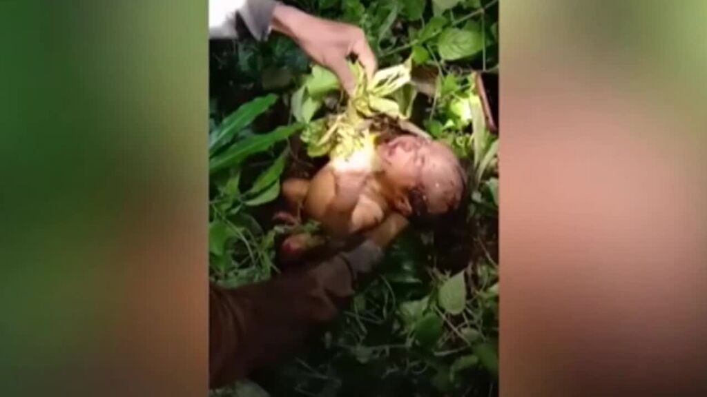 Encuentran a una bebé abandonada en la selva de Tailandia