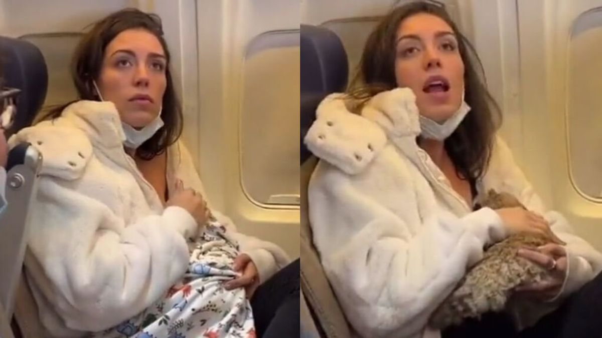 El vídeo viral en el que la pasajera de un avión amamanta a un gato es una parodia