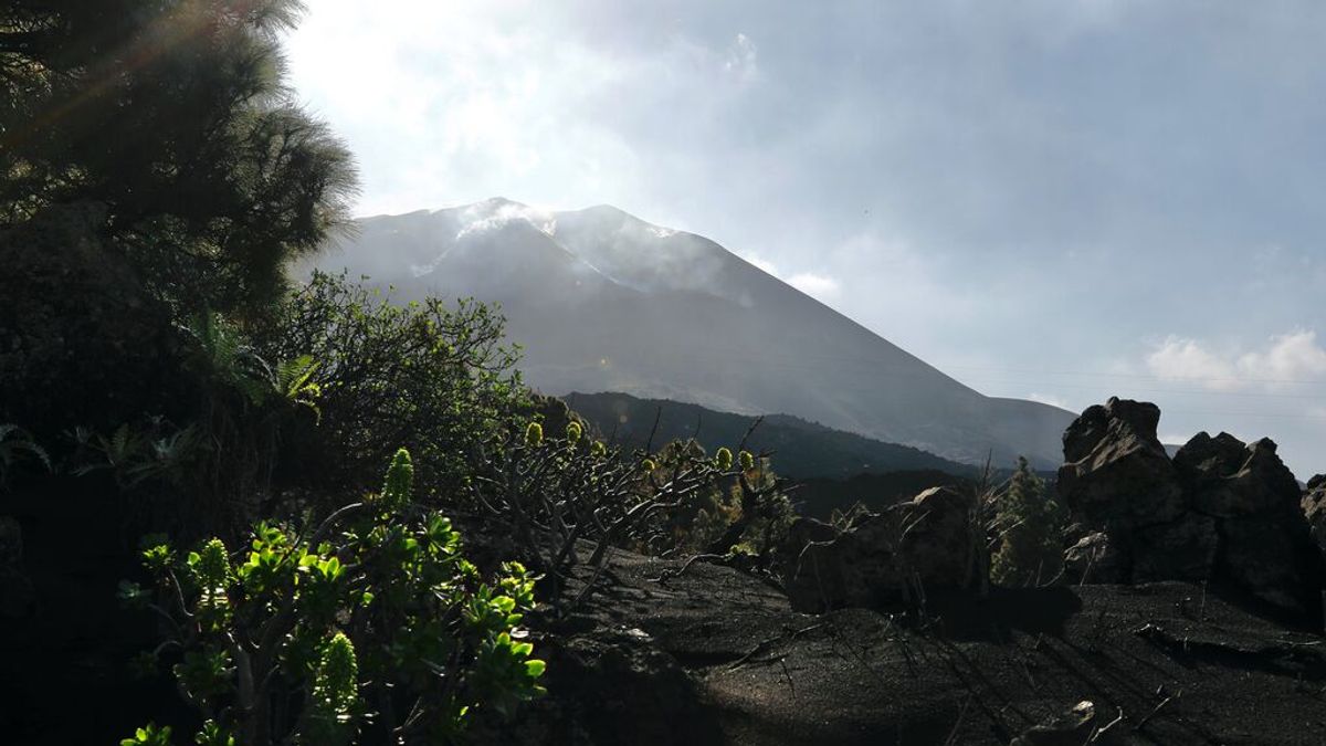 Continúa la actividad sísmica en La Palma a pesar de la finalización de la erupción