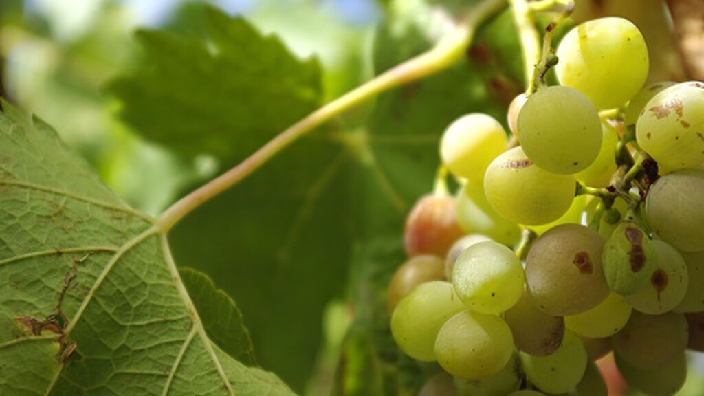 gettyimages-1245230173-170667a