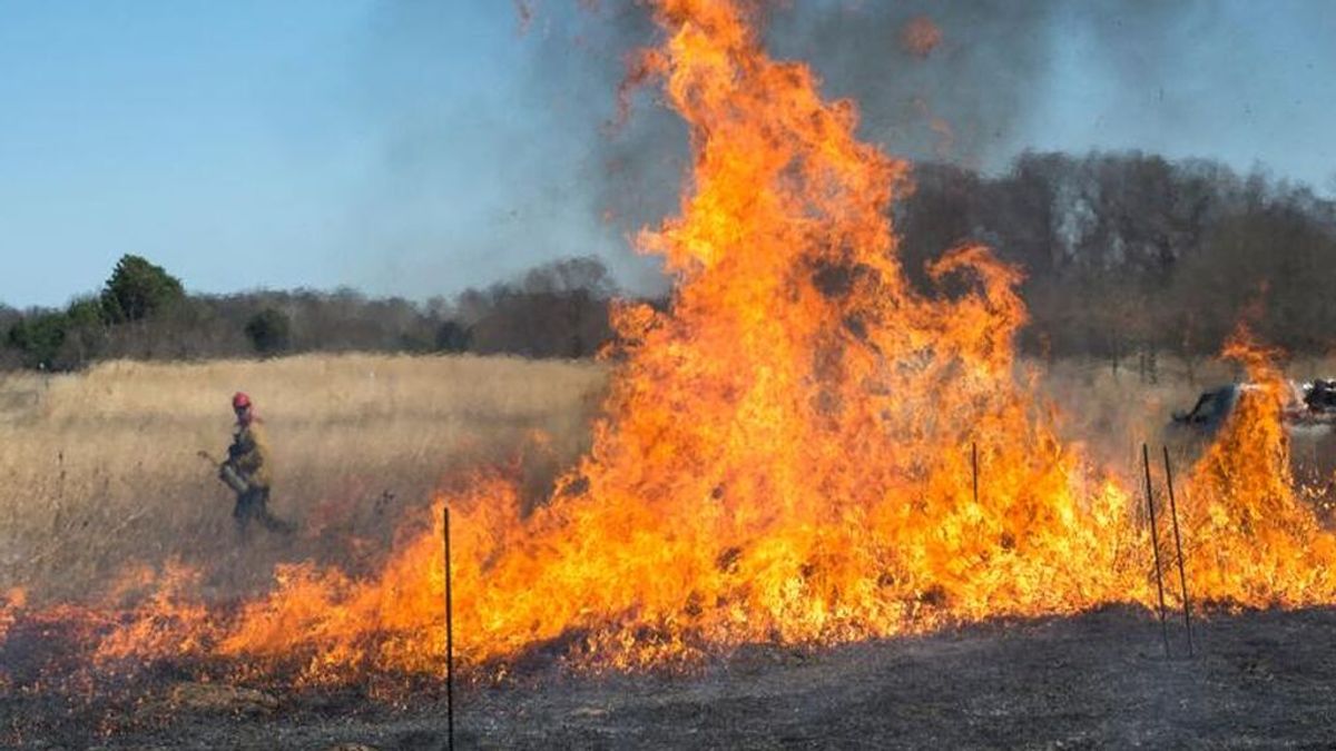 La quema controlada de naturaleza podría ayudar a compensar las emisiones humanas de carbono