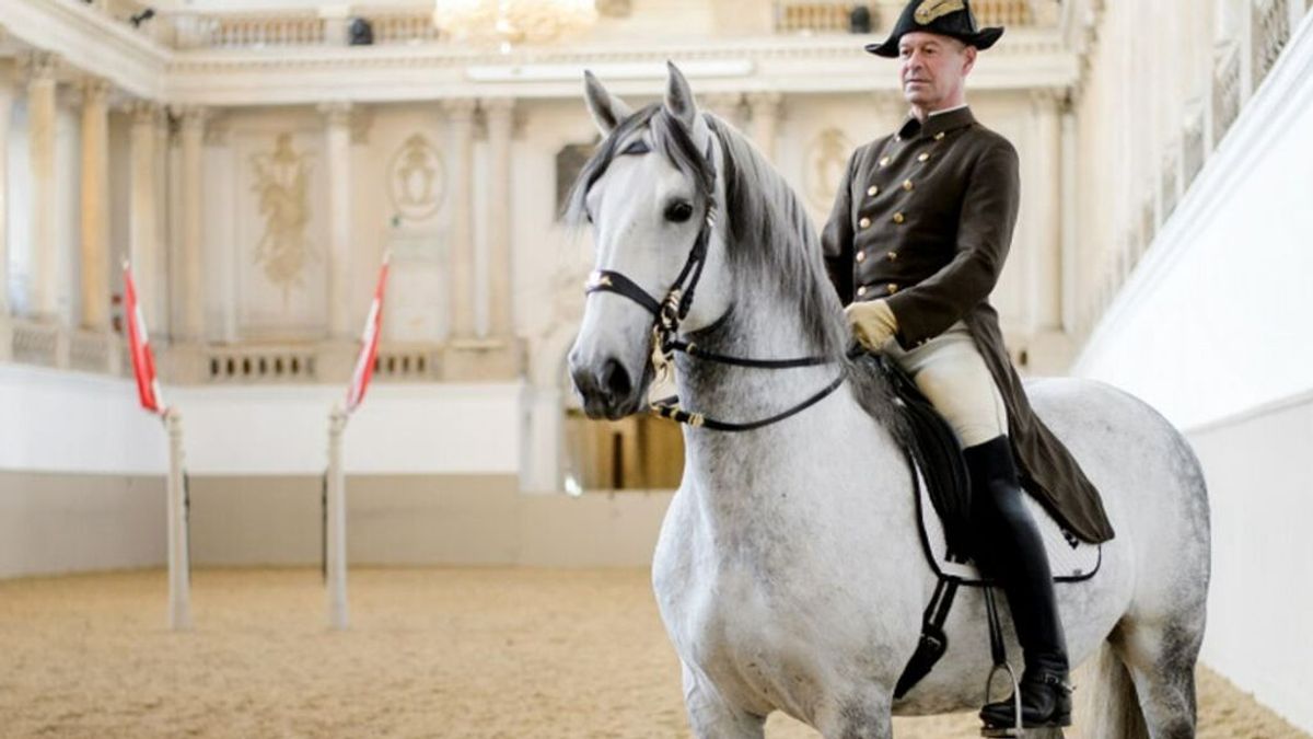 Qué es la Escuela Española de Equitación de Viena, protagonista del Concierto de Año Nuevo Qué es la Escuela Española de Equitación de Viena, protagonista del Concierto de Año Nuevo