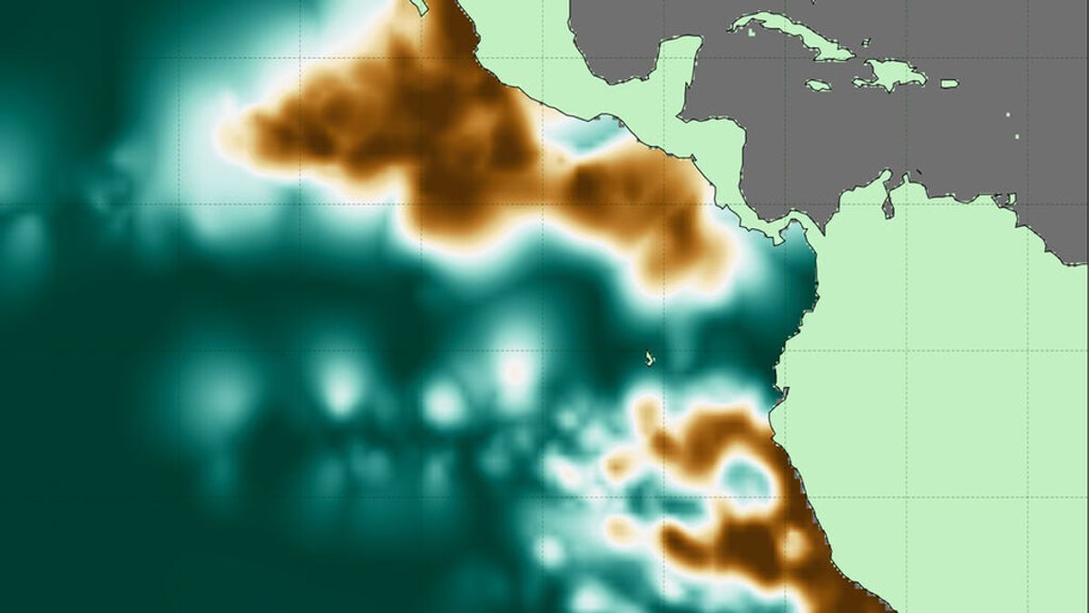 Océano sin oxígeno: elaboran un atlas de las aguas inhabitables del mundo