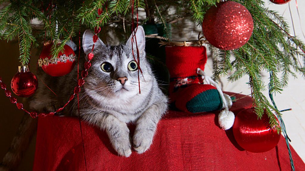 gettyimages-1296291944-170667a