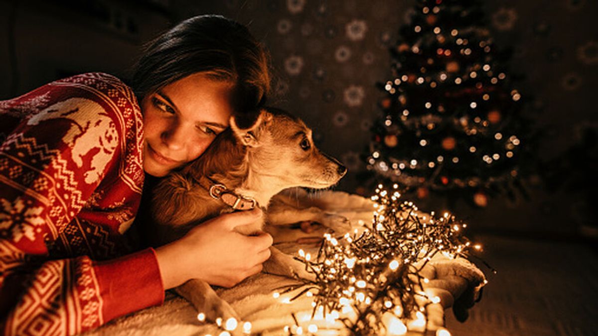 Pirotecnia y mascotas: consejos para evitar que tu perro o gato se estrese esta Nochevieja con los petardos
